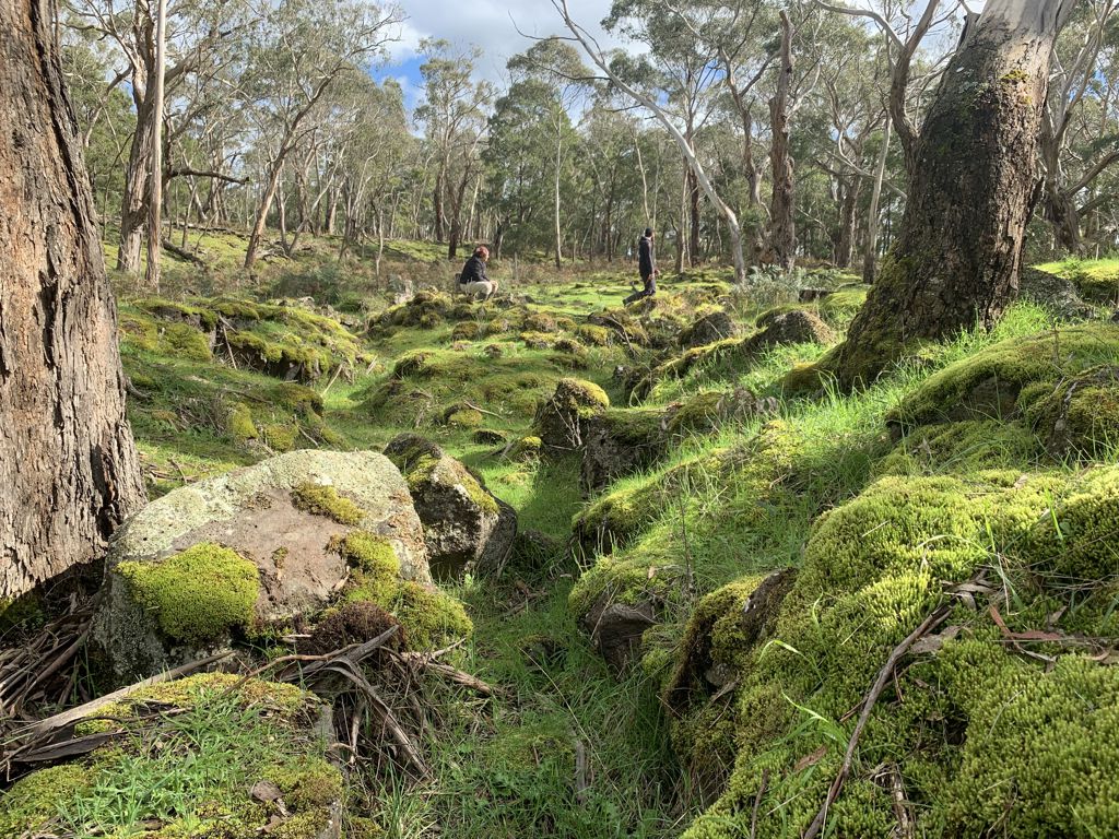 Budj Bim Cultural Landscape added to UNESCO World Heritage list