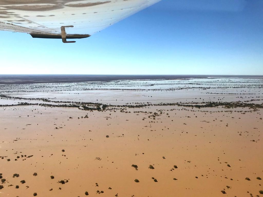 Flood Waters! A sight to see north of Birdsville.